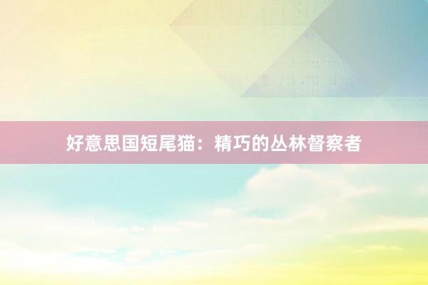 好意思国短尾猫：精巧的丛林督察者