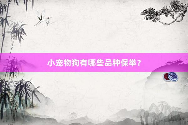 小宠物狗有哪些品种保举?
